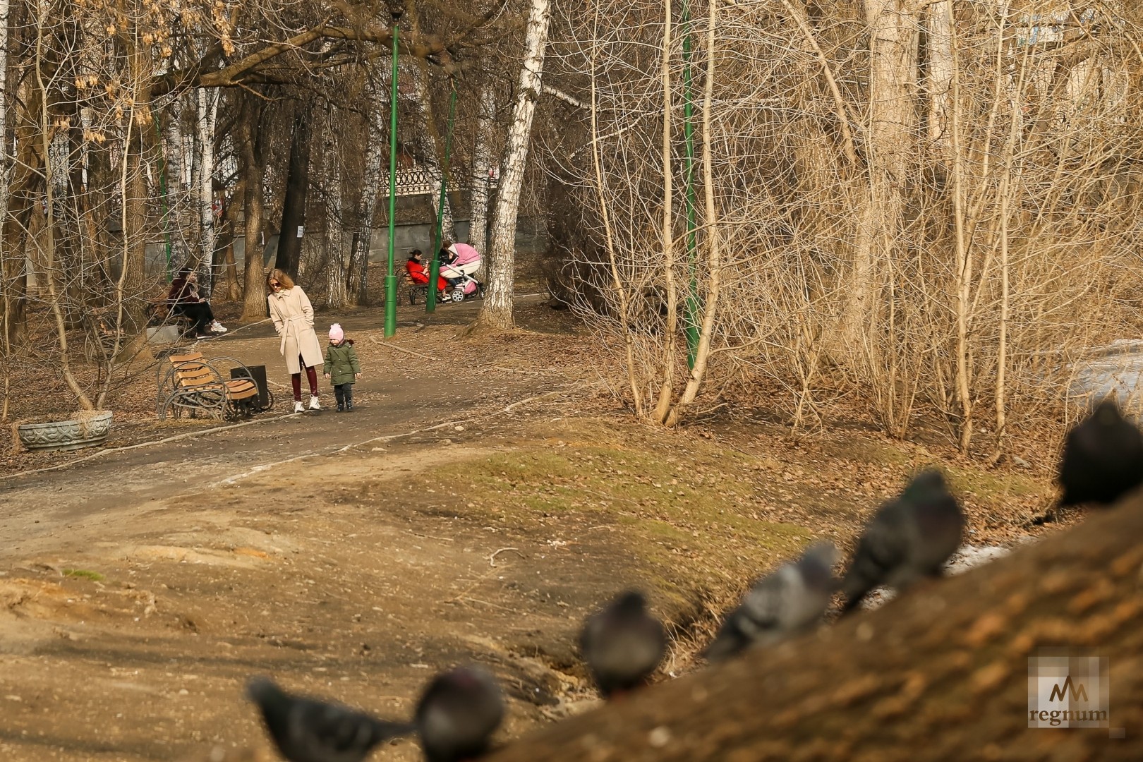 Женщина и ребёнок погибли при падении дерева в городском парке Саратова