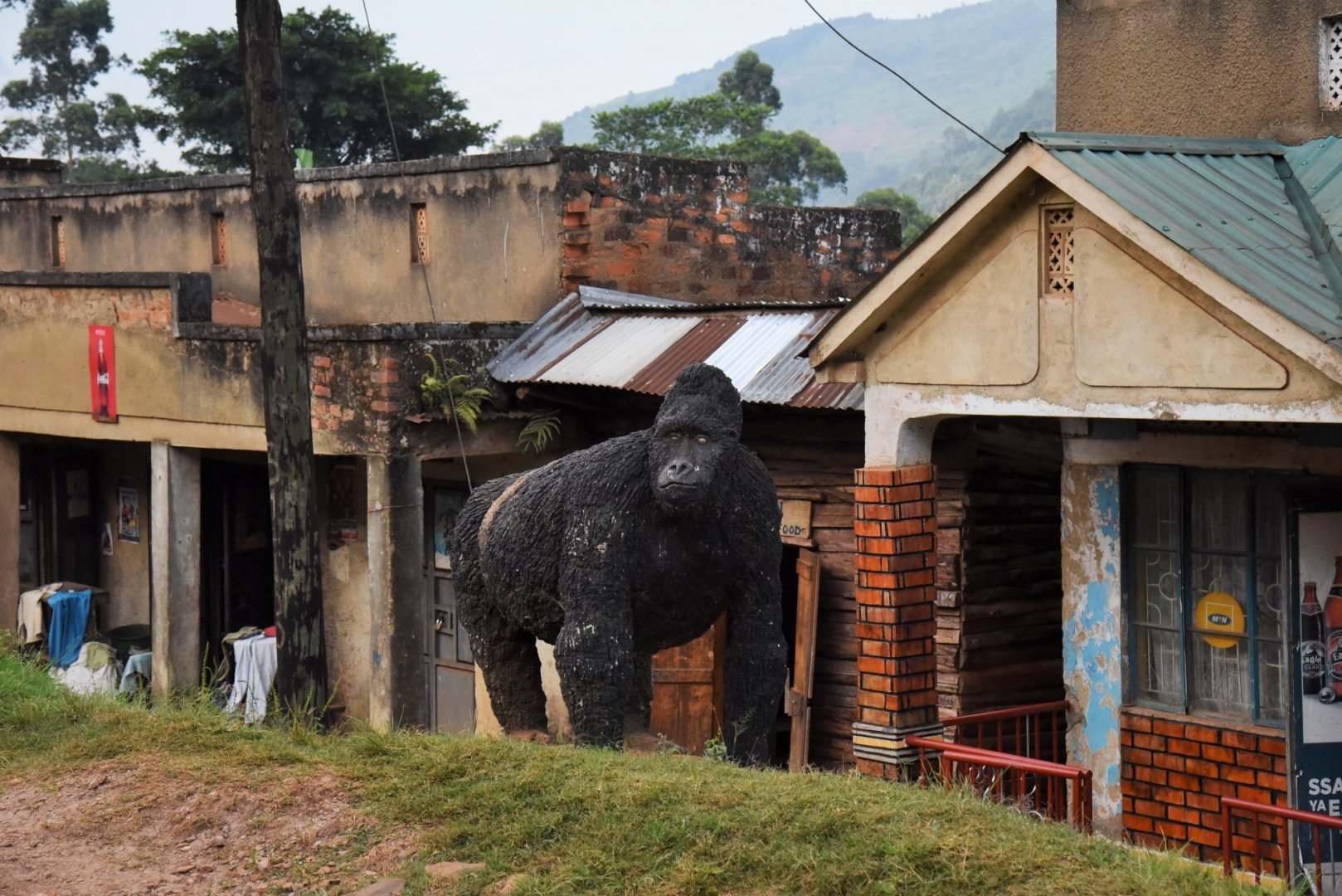 Горилла-треки в Уганде – один из самых значимых источников доходов страны в области туризма. Деревня Бухома, Уганда, Африка