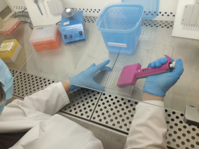 Пробы на вирус COVID-19 в белорусской лаборатории 