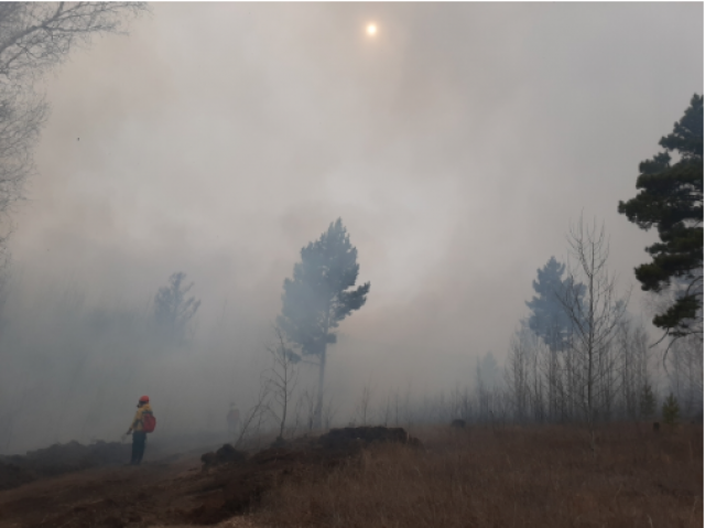 Дым лесного пожара