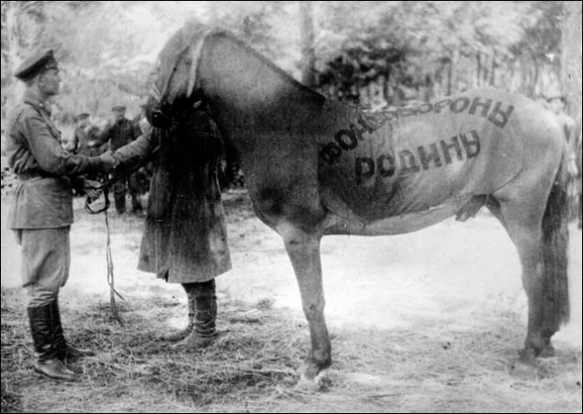 Передача коня в фонд обороны от артели имени Ворошилова Мамонтовского района. Алтайский край.1941 г