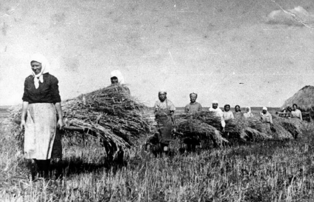 Уборка урожая в Уметском районе. 1944
