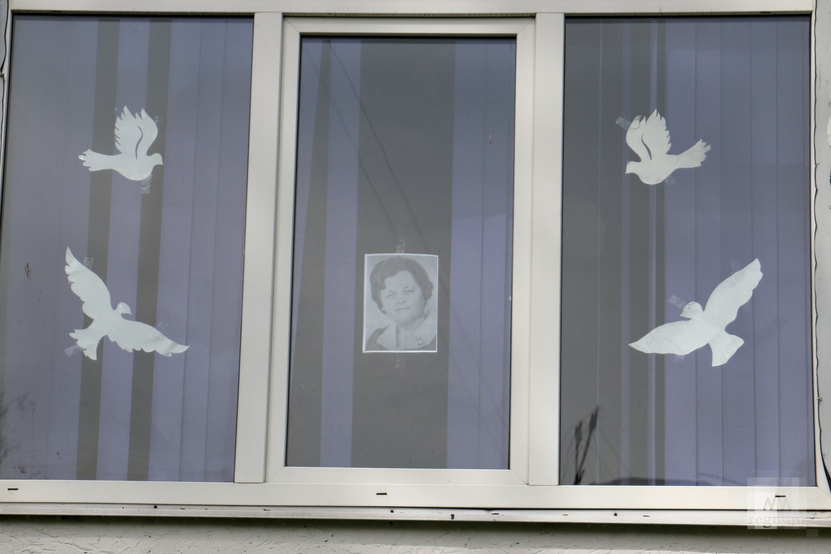 Голуби на окна к 9 мая. Украшение окон голубями. Журавли для украшения окон. Голубь для декора окна.