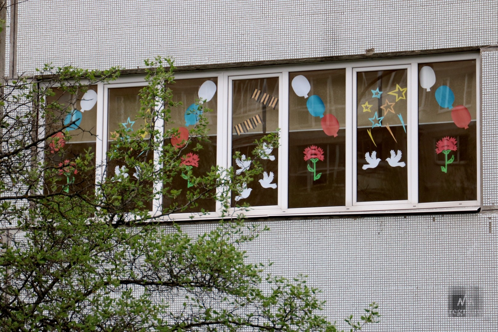 Голуби на окнах к 9. Украшение окон голубями. Окно в школе. Украшение окон к 1 мая. Украшение окон к 9 мая.