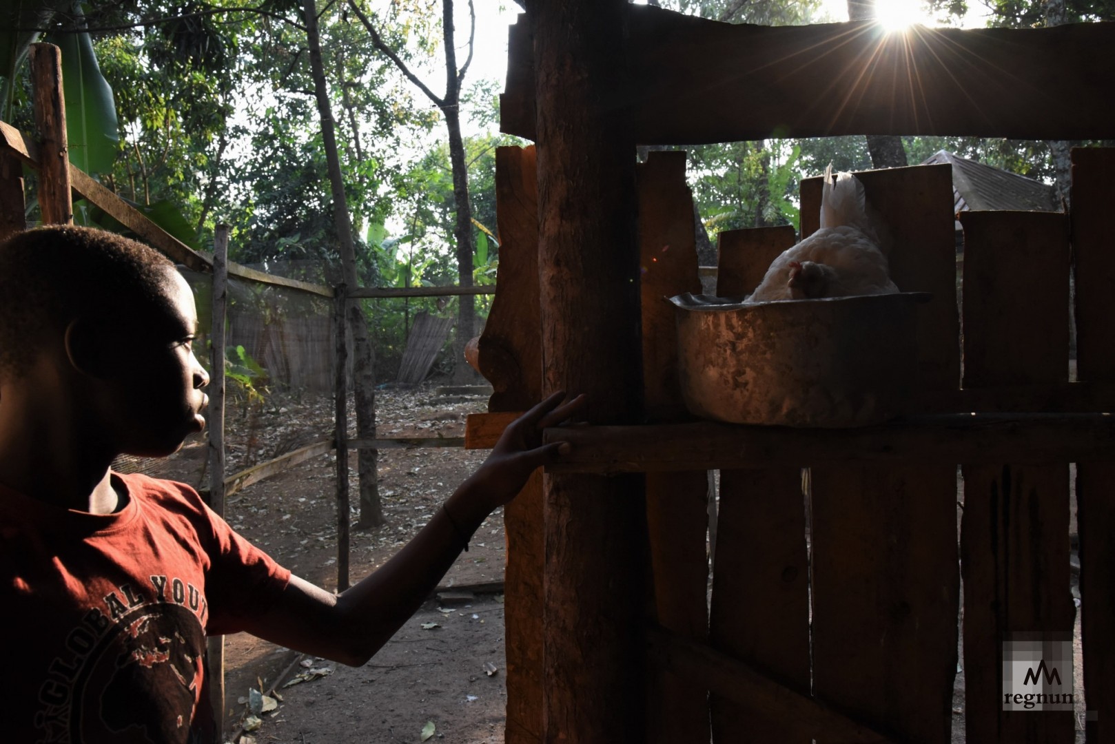 Вильям (12 лет) в поиске свежих яиц. Window of Life, Масинди, Уганда