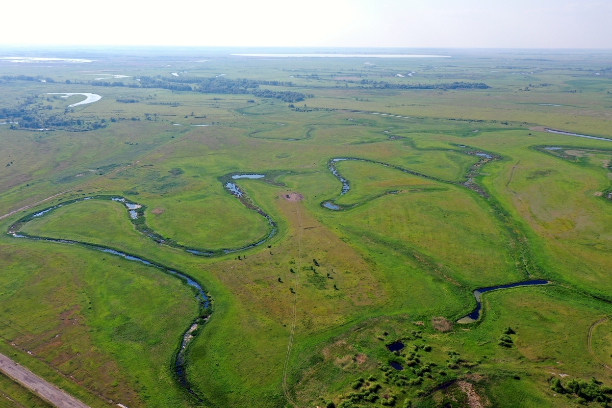 Савин курганская область святилище фото