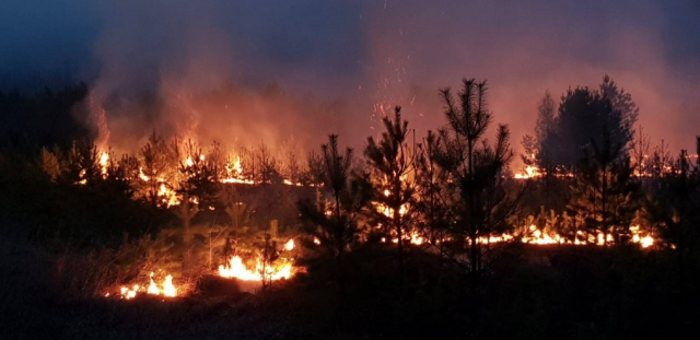 Лесные пожары в Иркутской области