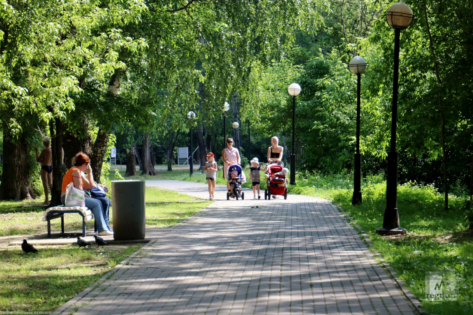 Парки подмосковья. Парк в Подмосковье. Парки Подмосковья для прогулок. Лесопарки Подмосковья. Парки Подмосковья для прогулок с детьми.