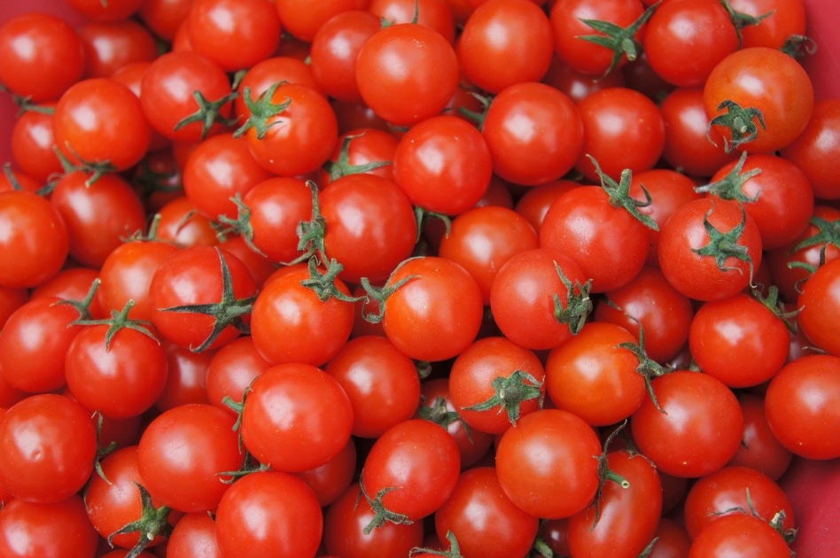 Роскачество выявило, что лишь 25% томатной пасты соответствуют требованиям