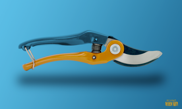 Украинская цензура 