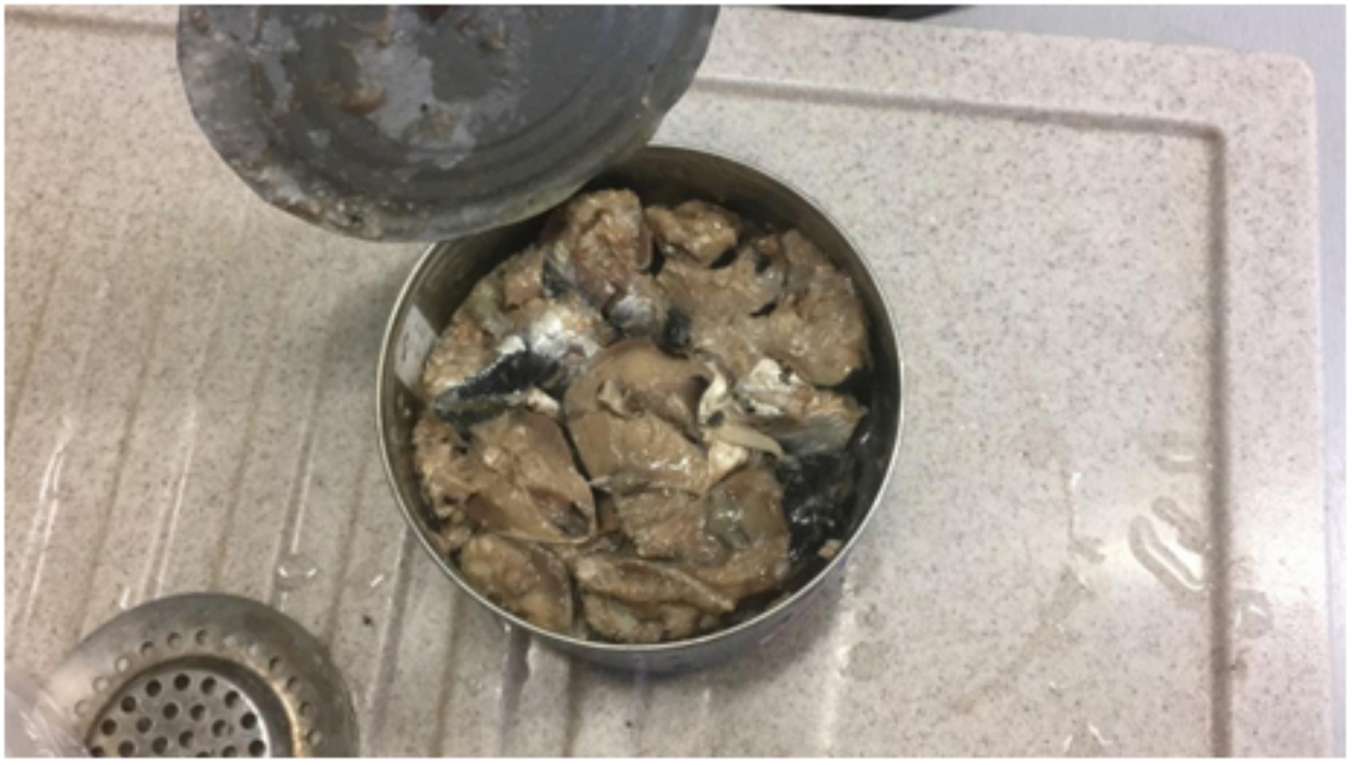 Просроченные консервы. Испорченная еда. Испорченные консервы. Бомбаж рыбных консервов. Бомбаж рыбных консервов.