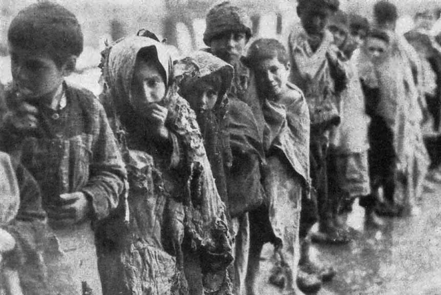 Причины и последствия геноцида армян.