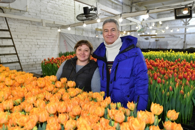 Глава Карелии с фермером Юлией Шелемех на предприятии по выращиванию тюльпанов в Прионежье