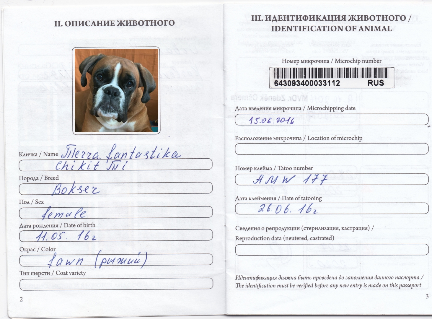Ветеринарный паспорт собаки