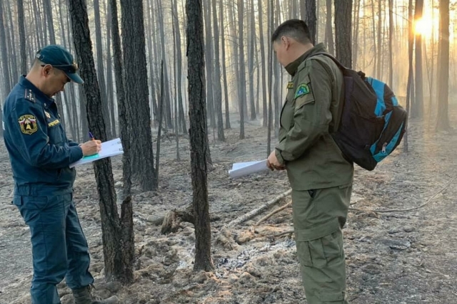 Сотрудники МЧС Якутии на месте лесного пожара