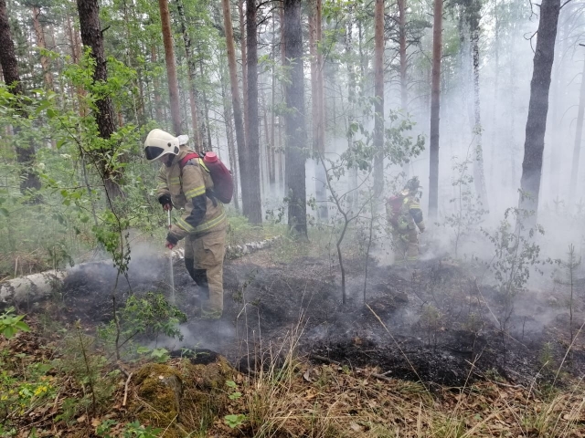 Тушение лесного пожара. Свердловская область 