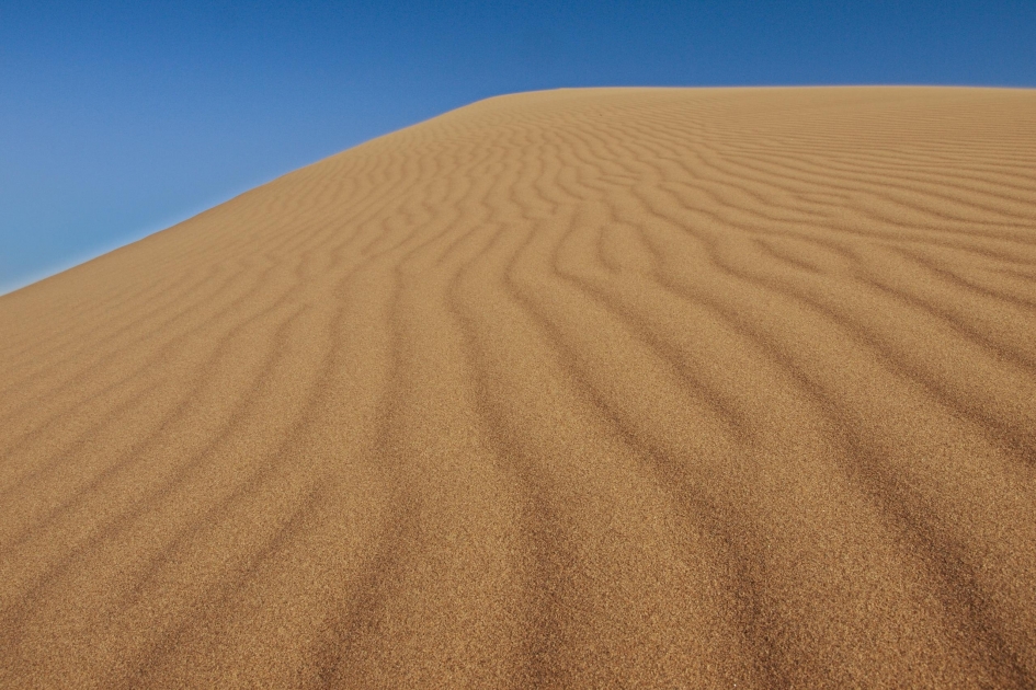 Барханы ханы. Бархан Сарыкум. Калмыки песчаные Барханы. Песчаные Барханы Дубай. Барханы пустыня Пески пирамиды.