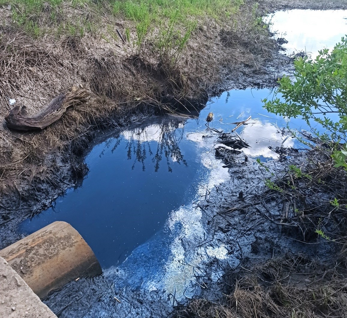 В Ярославле сточные воды сбрасывают в приток Волги без очистки