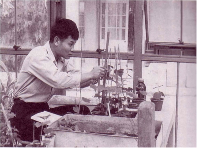 Рис. 10. Автор первого в мире сложного микробного препарата — Теруо Хига (Япония)