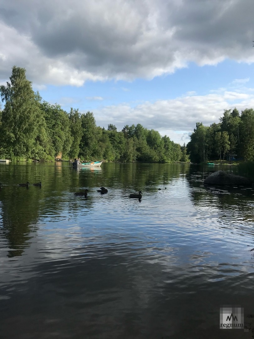 В девяти районах Ленобласти состояние воды безопасно для купания