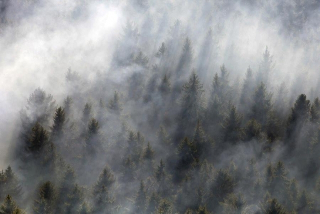  Заповедник «Кивач» в дыму от лесного пожара