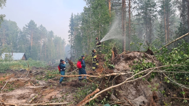  Тушение лесного пожара в Карелии
