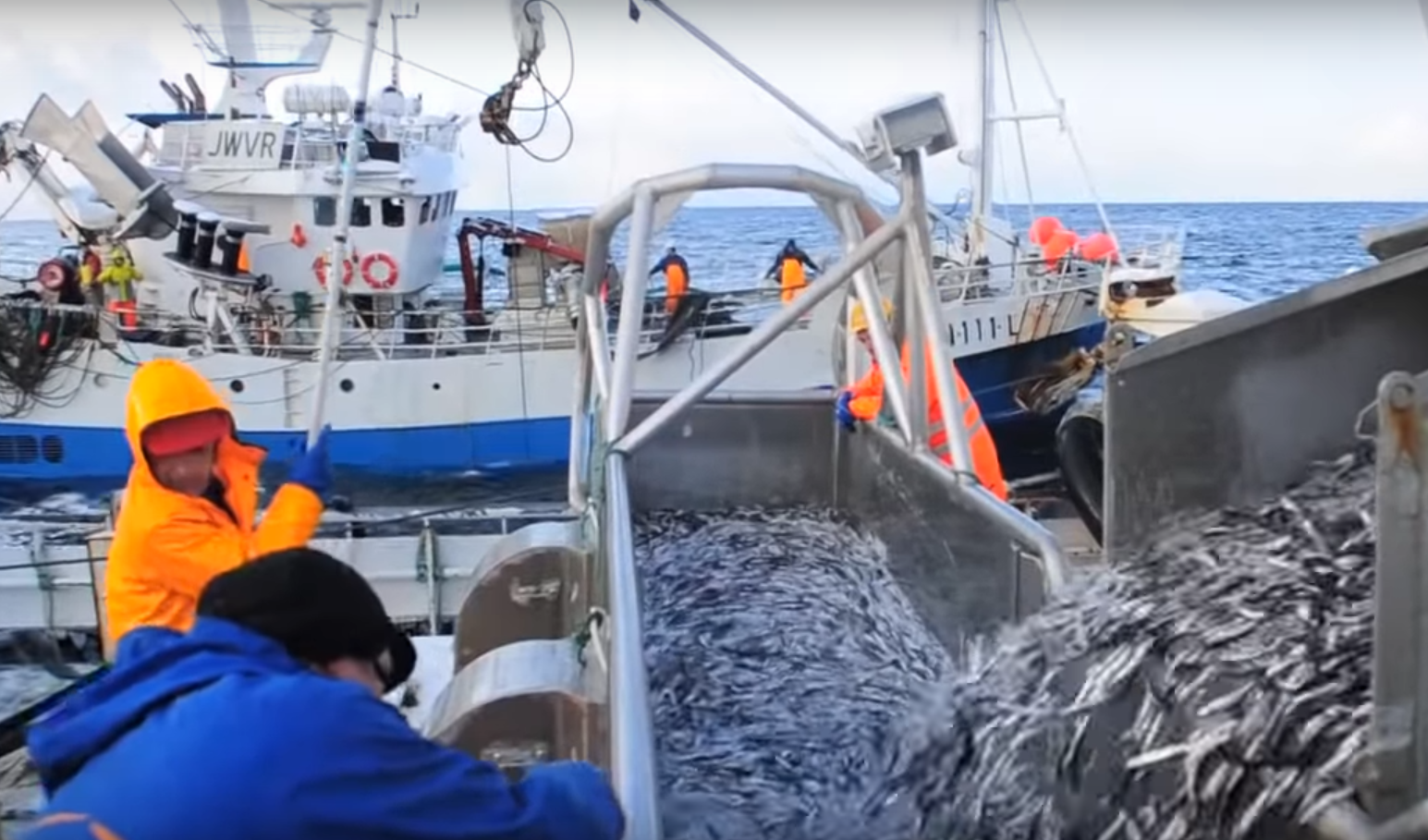 Уйдет ли рыболовный флот из российской Арктики в иностранные морские воды?