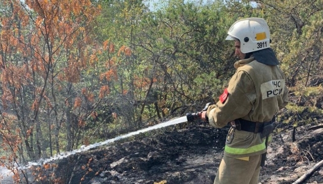 Лесной пожар тушат в Карелии. 