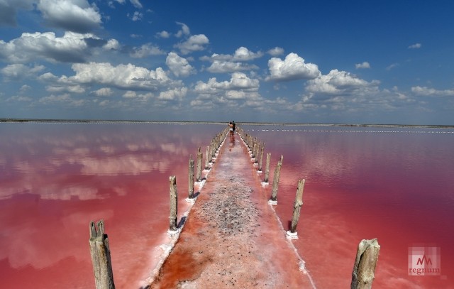 Озеро Сасык-Сиваш в Крыму: волшебная вода