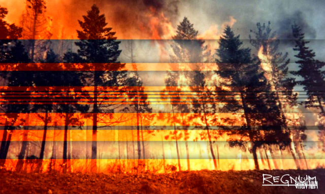 Лесной пожар