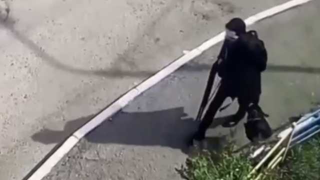 Сообщения о расстреле детей в школе. Сообщения о расстреле детей в школе