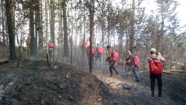 Волонтеры на пожаре в Марий Эл