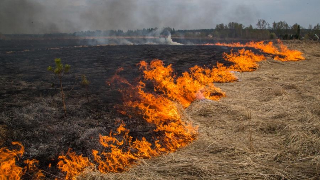 Сжигание полей. Весенне-летний пожароопасный период МЧС. Пожар травы. Пожар в лесу. Лесные травяные пожары.