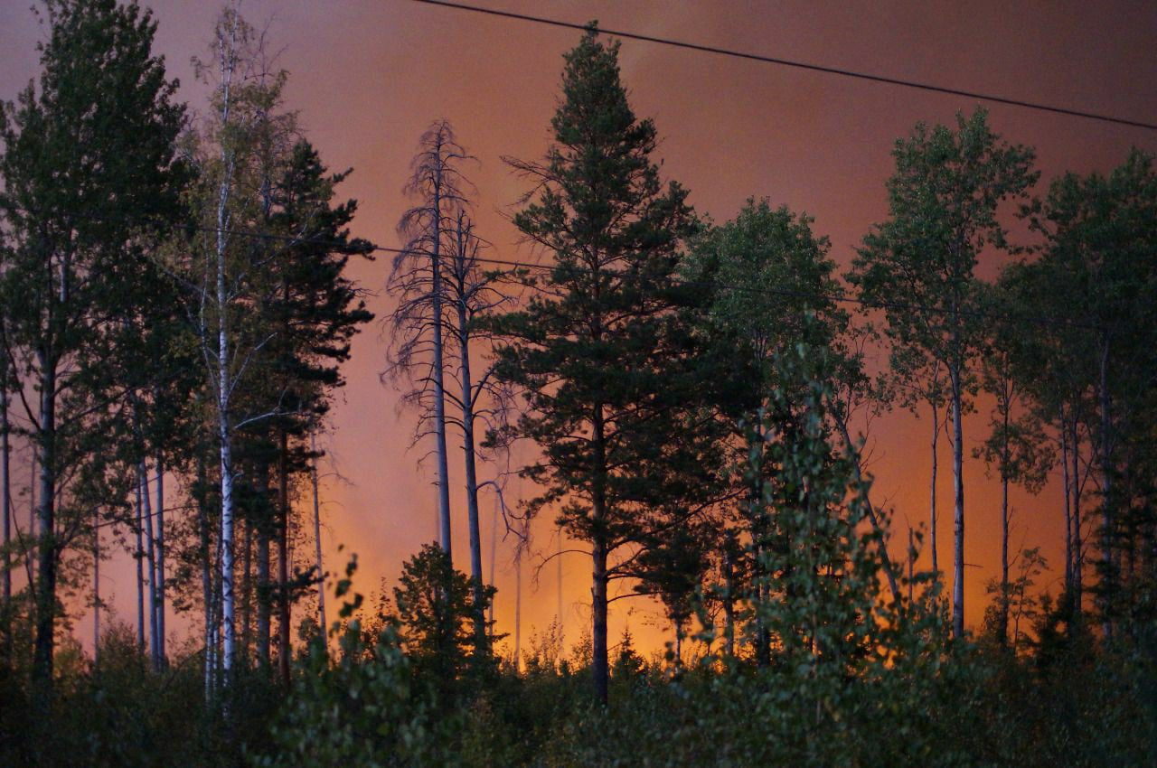 Лесной пожар Саров 2021