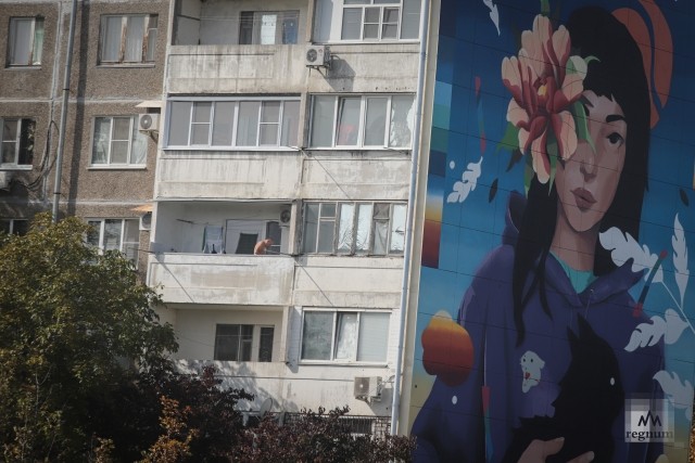 Мурал на фасаде дома Солнечнодольска