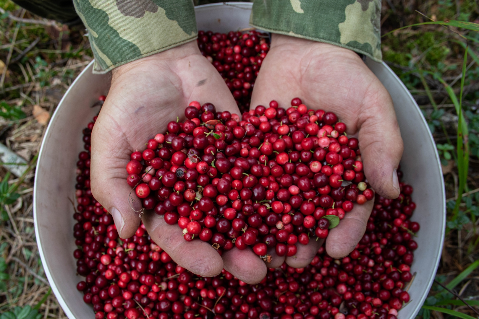 Сайт Wildberries сменил название на русскоязычное