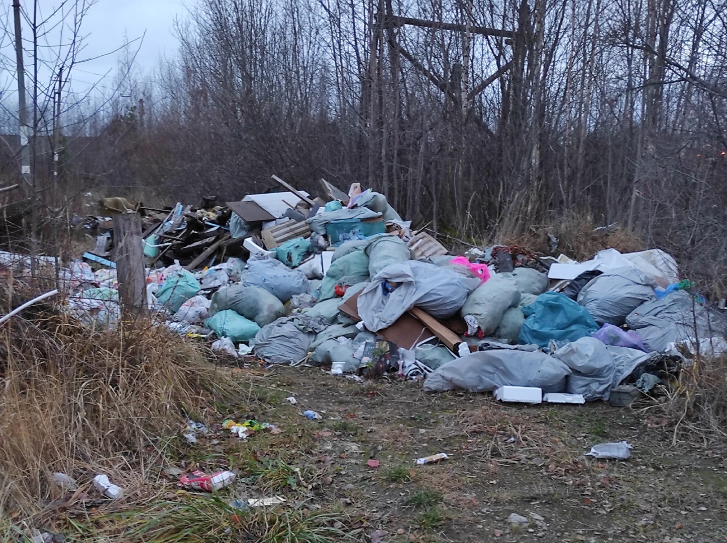 свалка в санкт петербурге