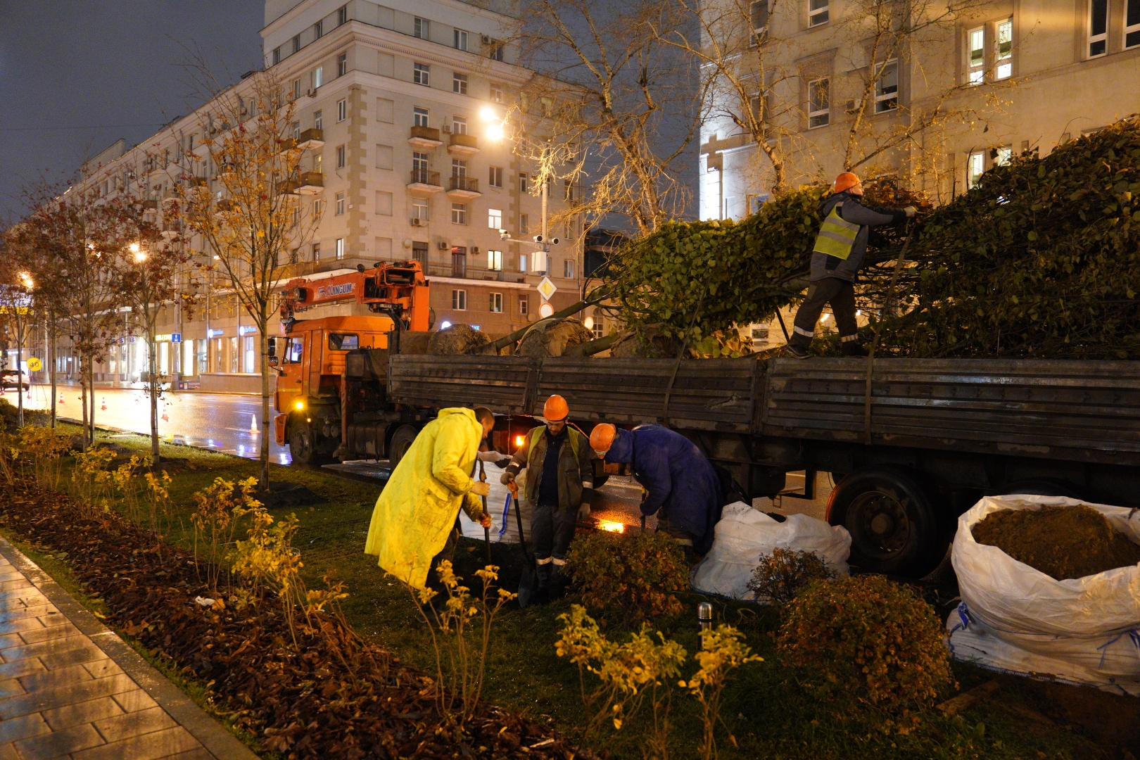 Пётр Бирюков: высадка деревьев вдоль магистралей Москвы завершена