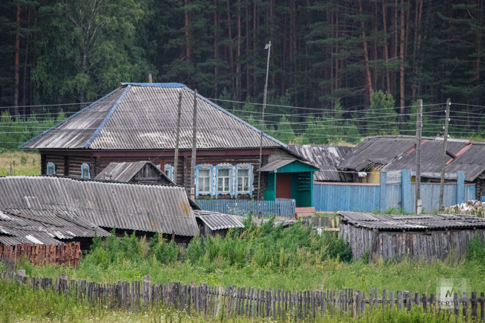 Убили медицину, добивают образование и село» — сети о реорганизации школ