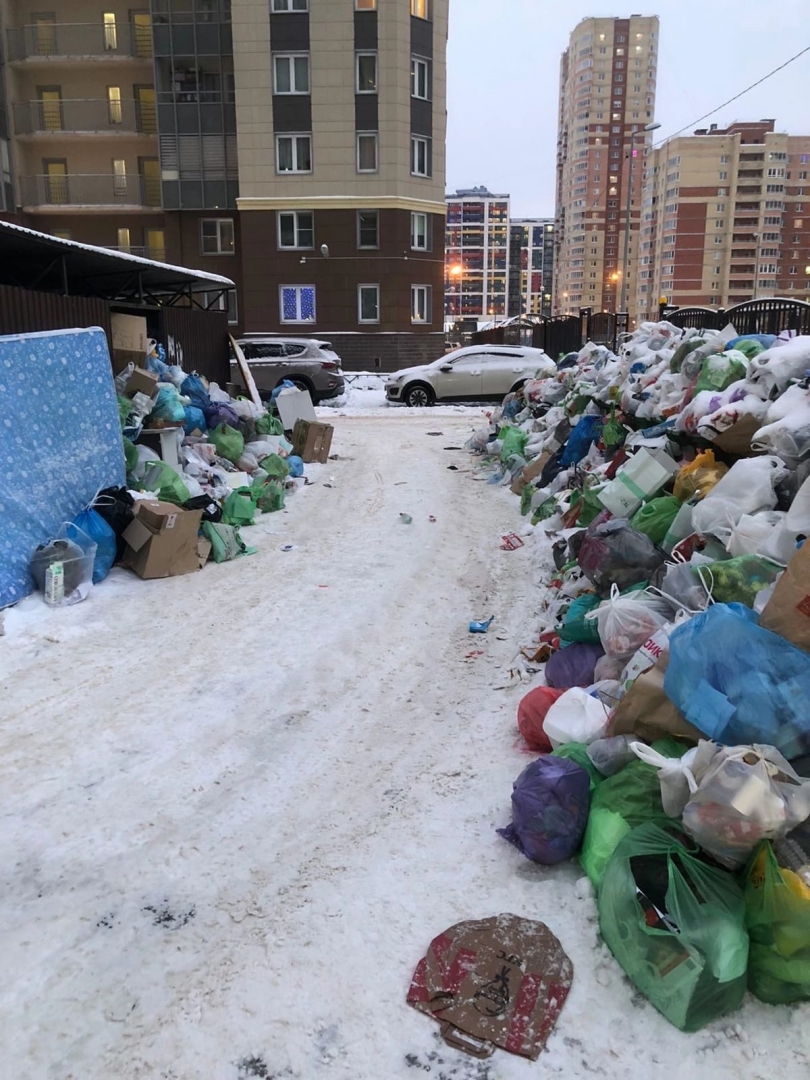 В Ленобласти объяснили, что не так с мусором в Петербурге