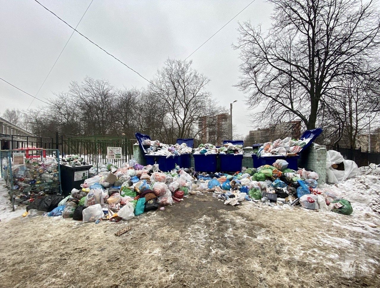 Жители Петербурга смогут получить компенсацию за отсутствие вывоза мусора