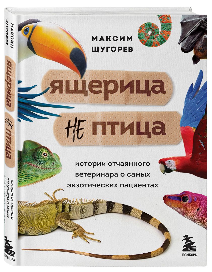 Что-то на птичьем: топ-5 книг о птицах