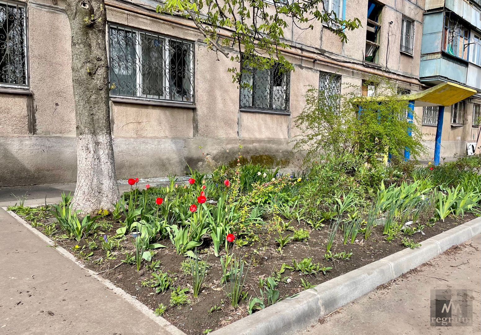 Мэр Горловки опроверг сообщения об эвакуации Пантелеймоновки