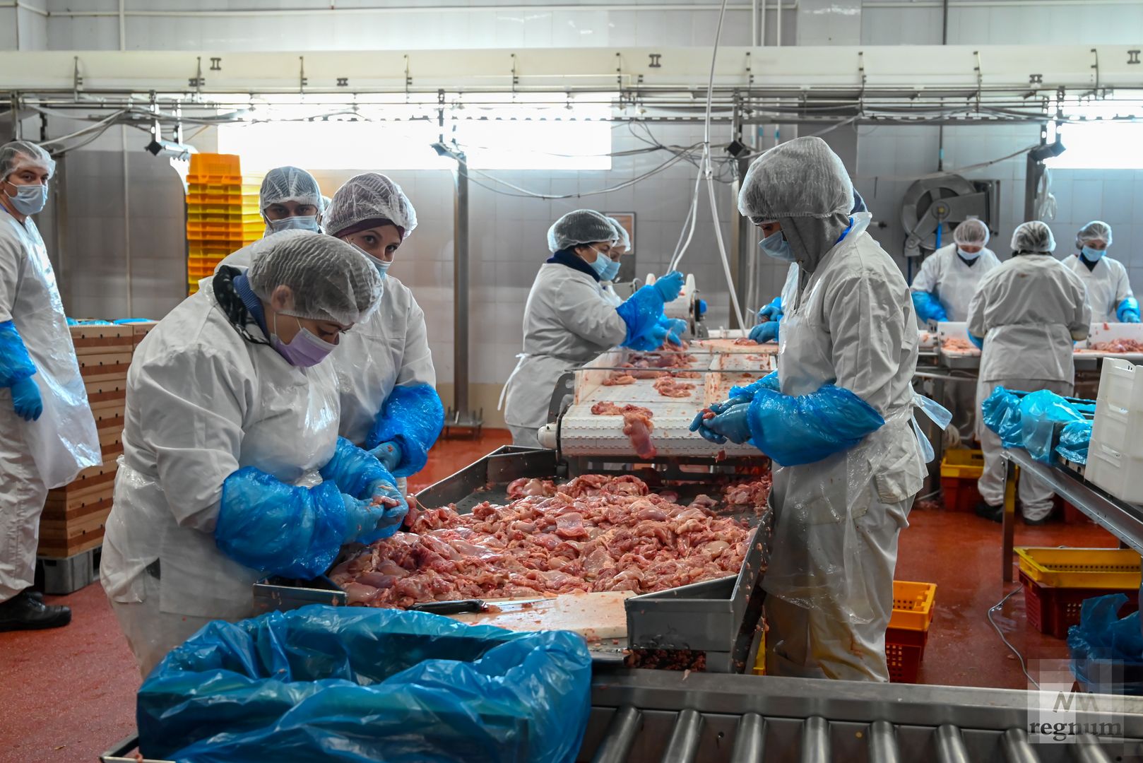 Цех по производству продукции из мяса птицы
