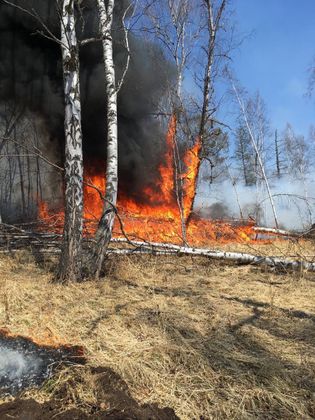Лесной пожар в Хакасии