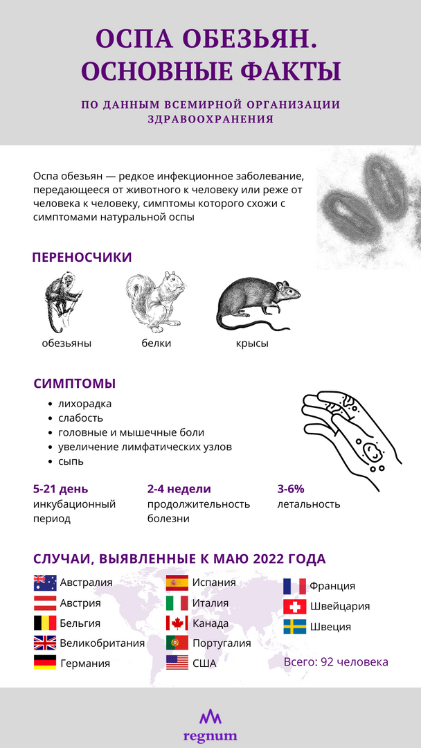 Оспа обезьяны профилактика. Оспа обезьян пути заражения.