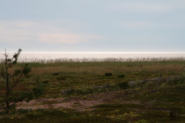 Побережье Белого моря, Мурманская область