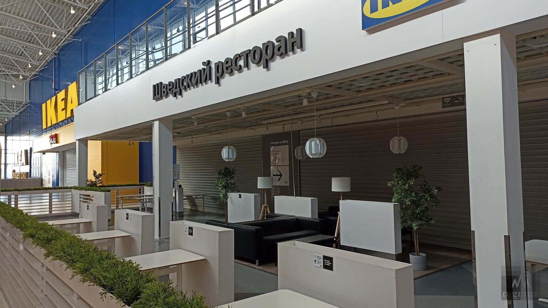 IKEA уходит из России со скандалом — у неё антироссийская позиция