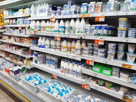 На полках магазинов в Республике Алтай представлено большое количество молочных продуктов, в том числе от местных производителей
