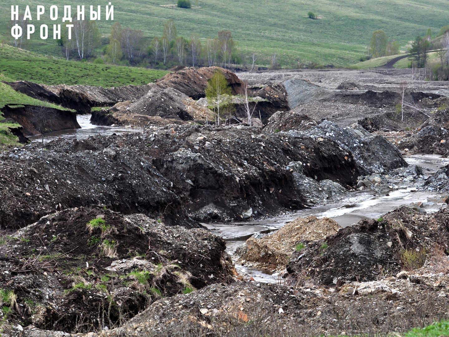 Чтобы продолжать мыть золото, на Алтае выкопали краснокнижные растения